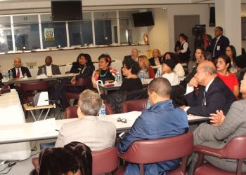 Consul dispora domincana