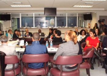 senadoranewyorkconsul