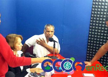 robertomejia-arboles