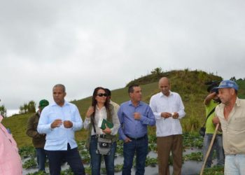 Director Feda Felix Estrella