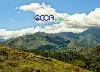 Temperaturas Bosque Ocoa