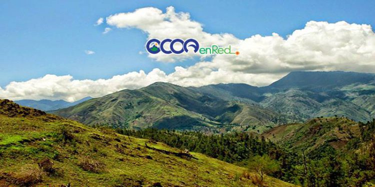 Temperaturas Bosque Ocoa