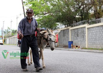 paisano hipolito arias 3