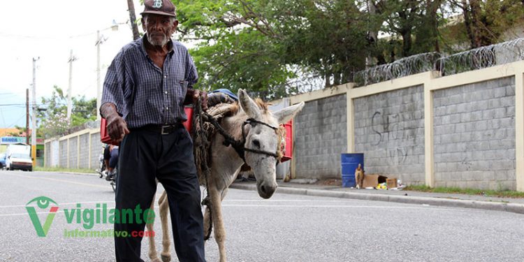 paisano hipolito arias 3