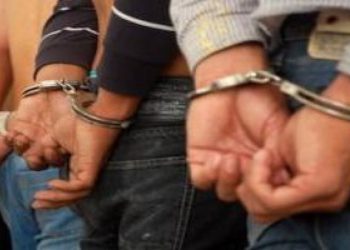 apresadosparquedeocoa