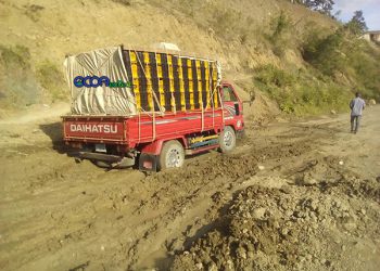 Camion-carreetra-El-Pinar