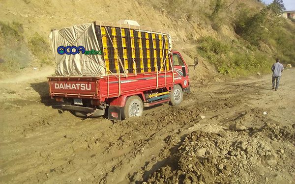 Camion-carreetra-El-Pinar