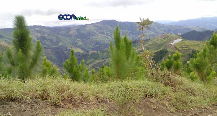 Coordinllera-Ocoa