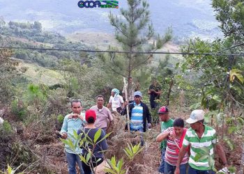 Jornada-reforestacion-dia-del-MEdio-Ambiente