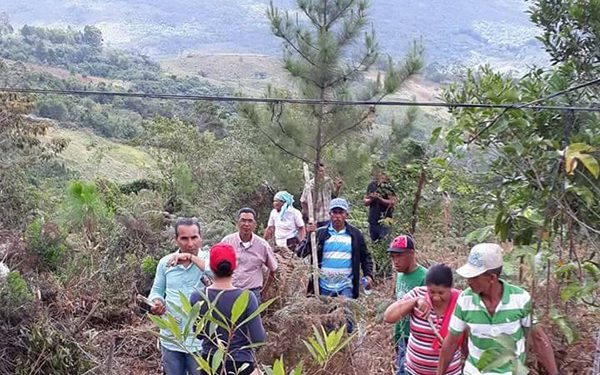 Jornada-reforestacion-dia-del-MEdio-Ambiente