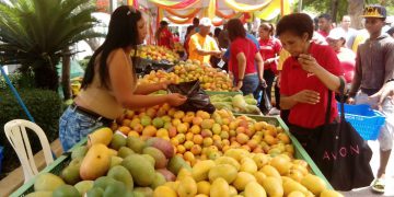 MANGO EXPO