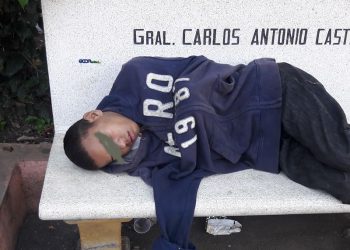 Menor-jarro-priteo-parque