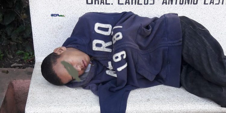 Menor-jarro-priteo-parque