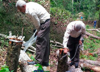 reforestacion-parra-claderon