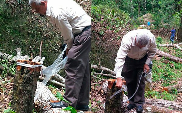 reforestacion-parra-claderon