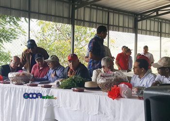 ASamable-prodcutores-la-Horma-Pedro-Alegria