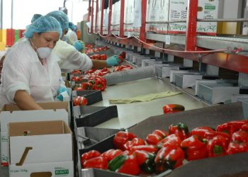 Agroplasticulturaocoa