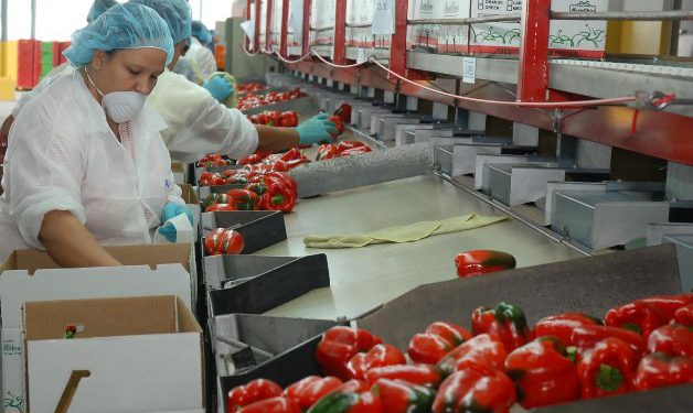 Agroplasticulturaocoa