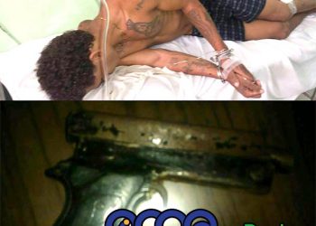 apresadoranchoarriba