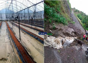 Inverdadero-y-carretera-EL-Pinar