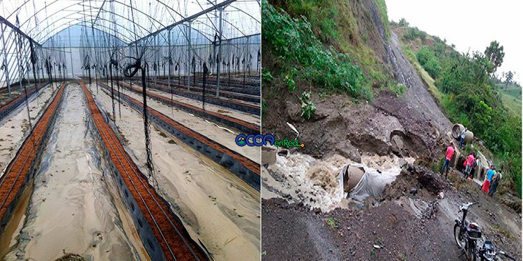 Inverdadero-y-carretera-EL-Pinar