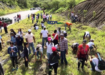 Jornada-de-reforetsacion-Ocoa-CRuce-de-Ocoa