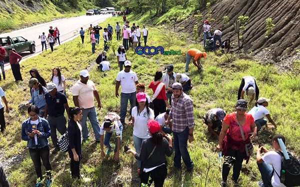 Jornada-de-reforetsacion-Ocoa-CRuce-de-Ocoa