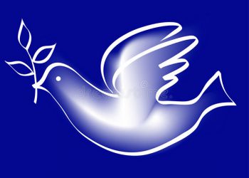 paloma-de-la-paz-9924400