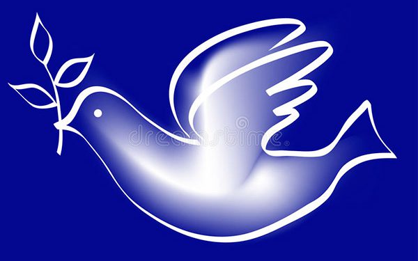 paloma-de-la-paz-9924400