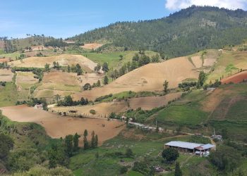 Depredacion Valle Nuevo