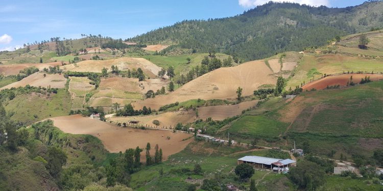 Depredacion Valle Nuevo