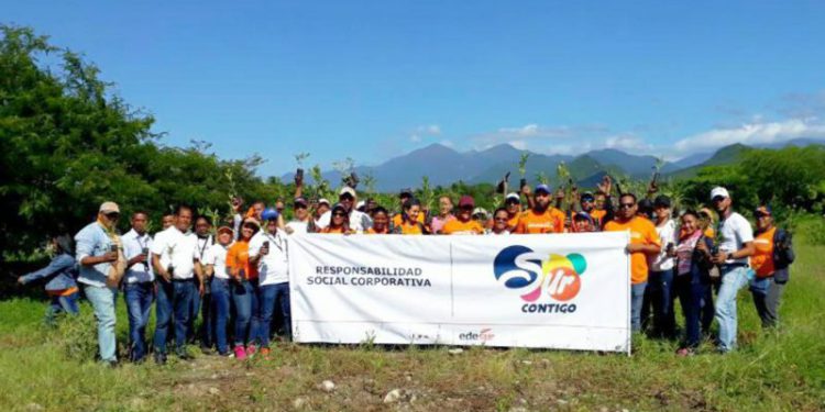 Reforestacion edesur bani