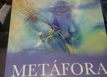 Metafora de los indecible libro elsa