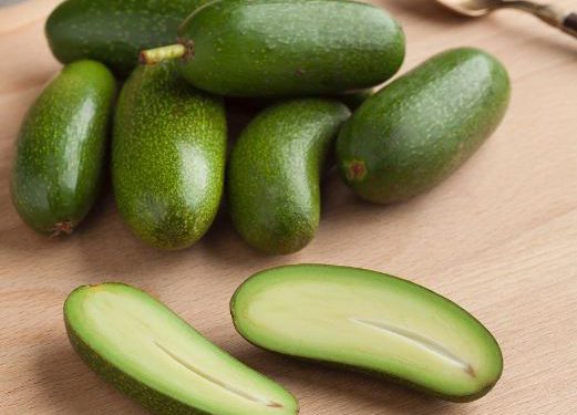 aguacatesinsemillaII