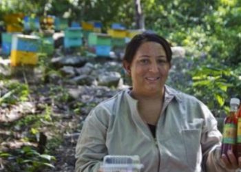 los-martinez-650x284