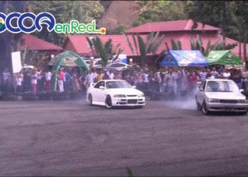 ceritos en las montanas