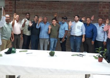 Prodcutores aguacates