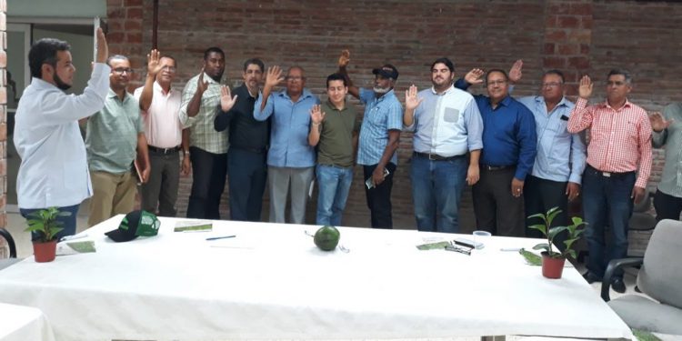 Prodcutores aguacates