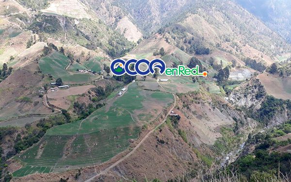 Siembras Valle Nuevo