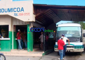 Parada minibuses Ocoa