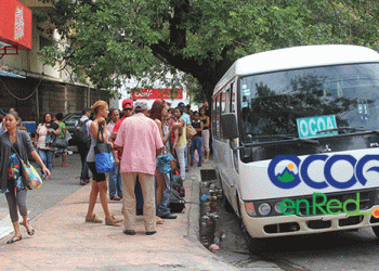 Paradaminibussantodomingoocoa