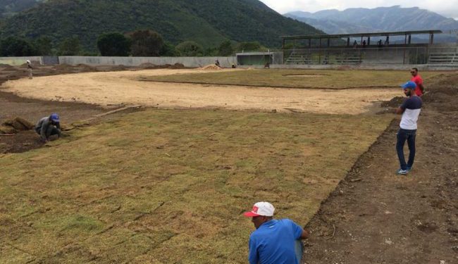 grama estadio sabana larga 650x488