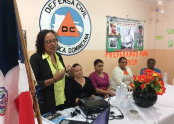 nelly chalas 650x488