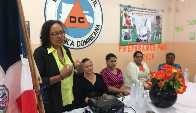 nelly chalas 650x488