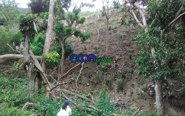 Deforestacion Parra O