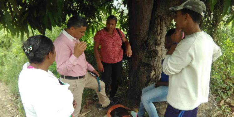 Manuel Baez reundos ricnocn del pino