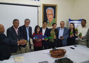 empresarios chinos Ocoa