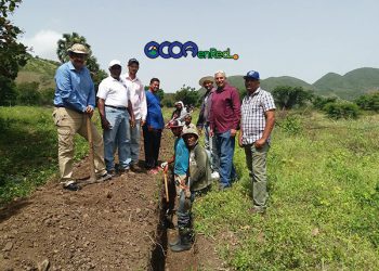 Convite adesjo Ocoa