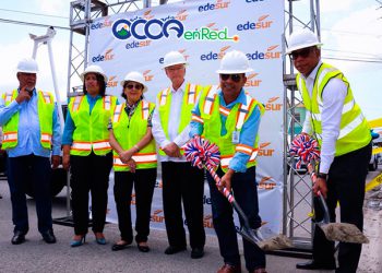 EDESUR da primer palazo