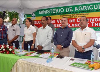 agricultura mosca blanca